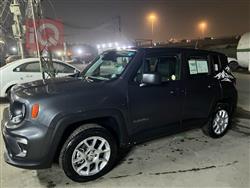 جيب رينيجيد